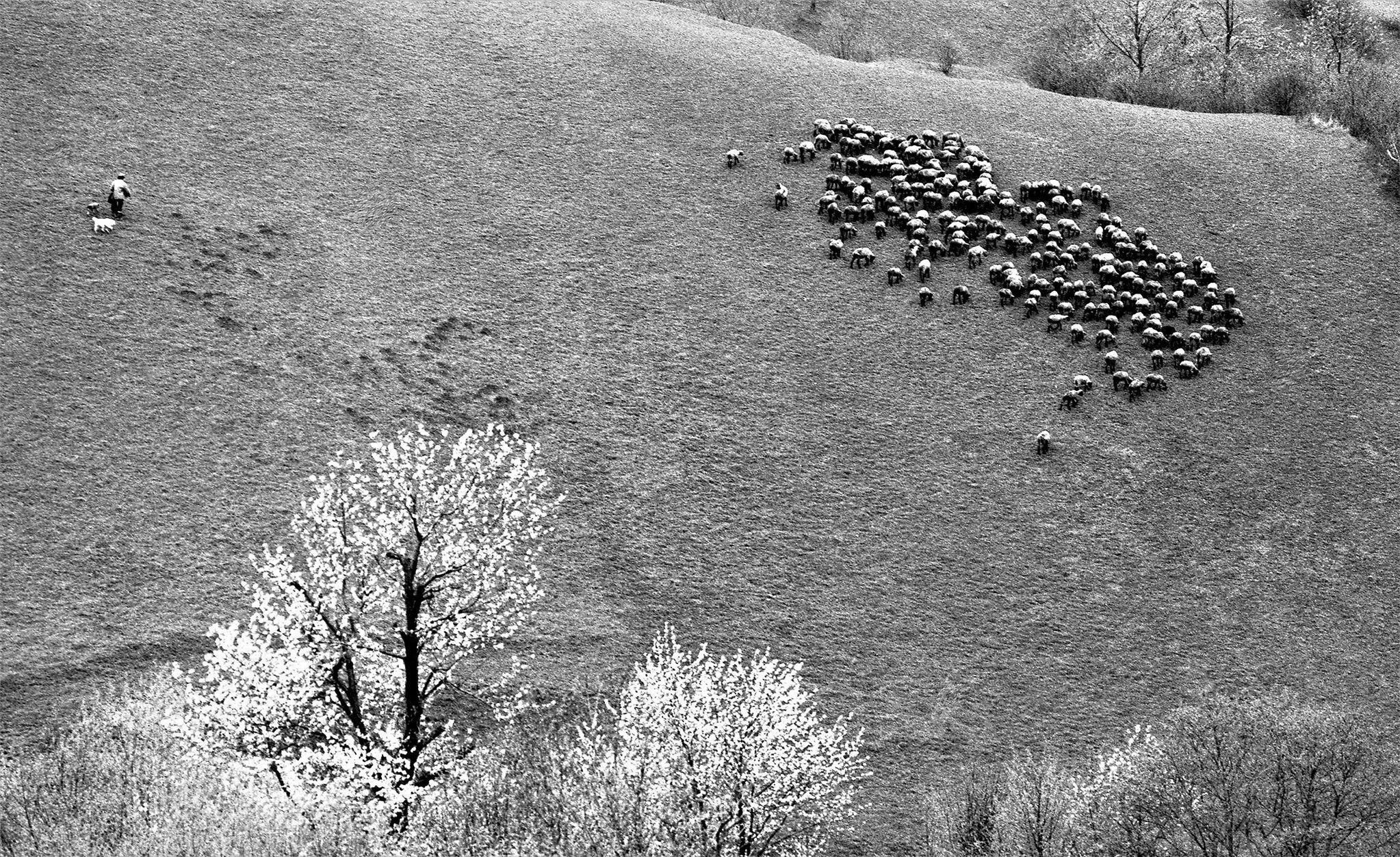 Fotogalerie / Pavel Vavroušek / Unikátní snímky. Jak se žilo v nejvýchodnější vesnici Československa v 70. letech