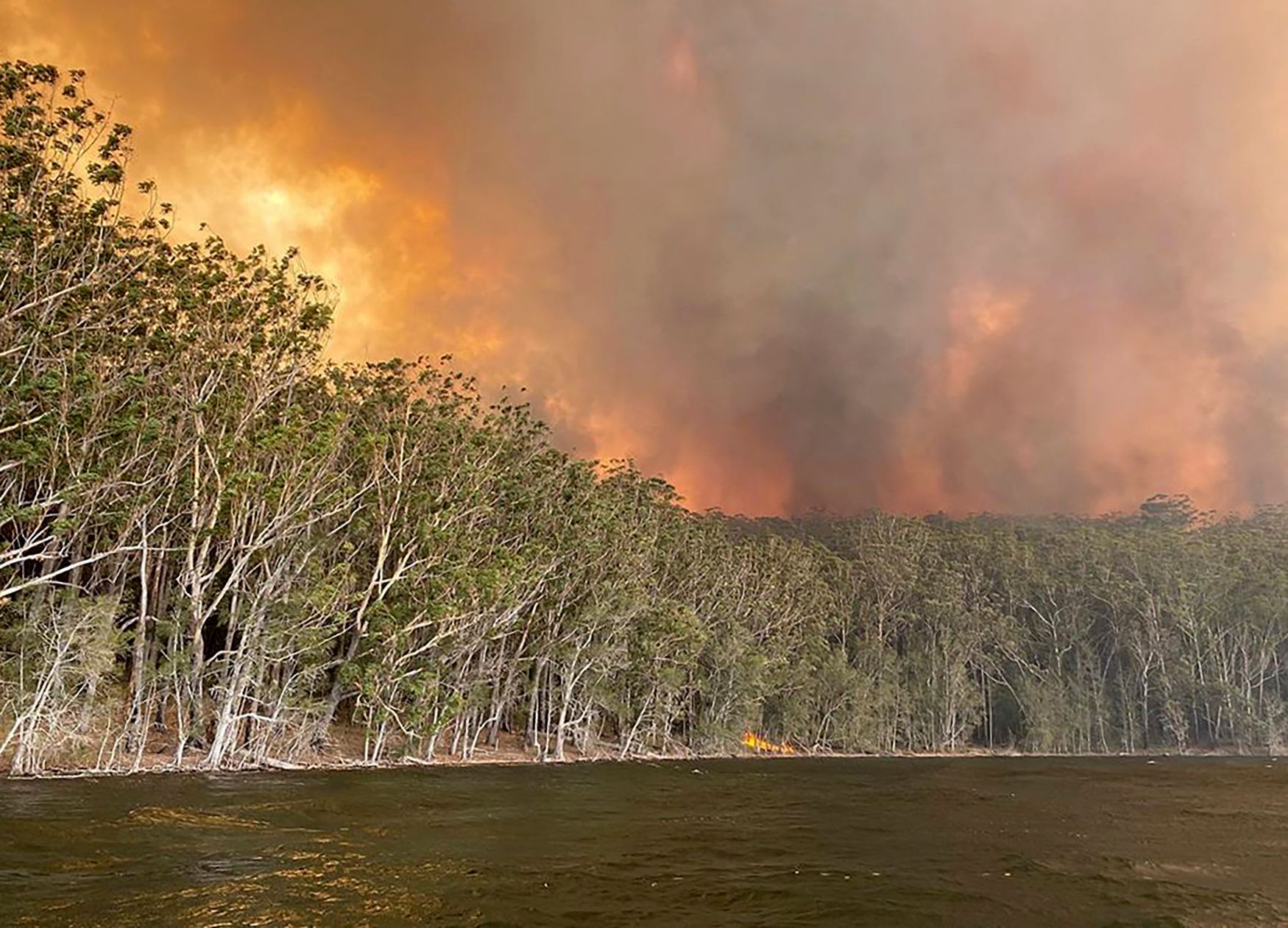 Požáry, Austrálie, prosinec 2019, leden 2020