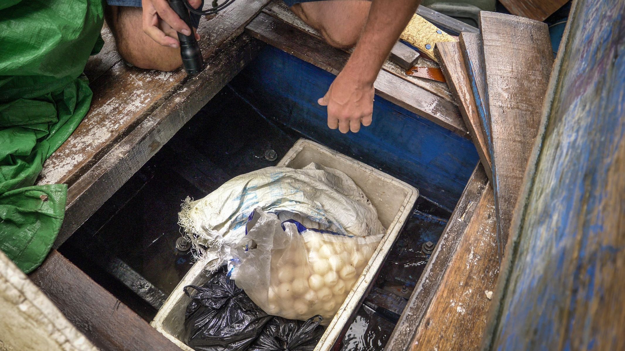 Chycení pytláků želvích vajec v Indonésii