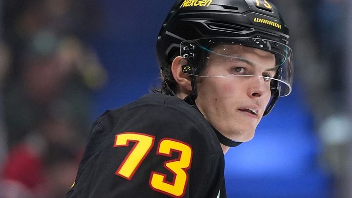 Upadl někdo více? tápou v NHL. Reichlův synovec selhává, nově jako náhrada za Čecha; Zdroj foto: Profimedia