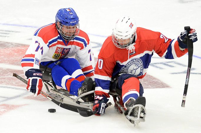 Česká sledge hokejová reprezentace: Michal Gaier