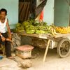Prodavač čeká na kupce různých druhů banánů ve svém krámku.