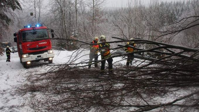 Popadané stromy na Liberecku poničily elektrické vedení (ilustrační foto)