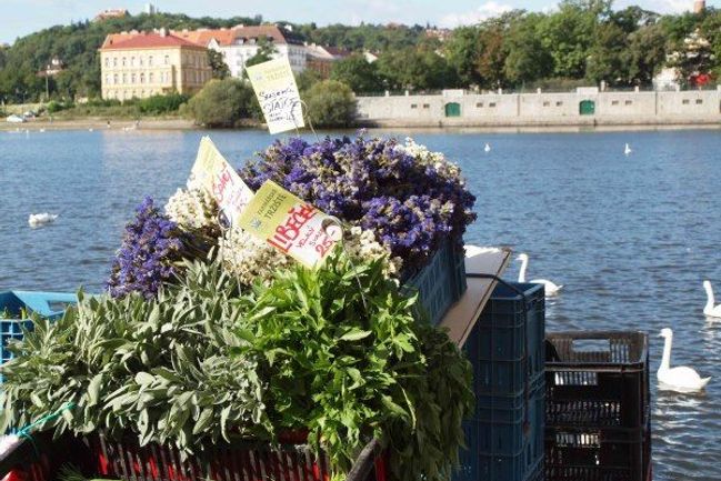 Farmářské trhy i ve středu