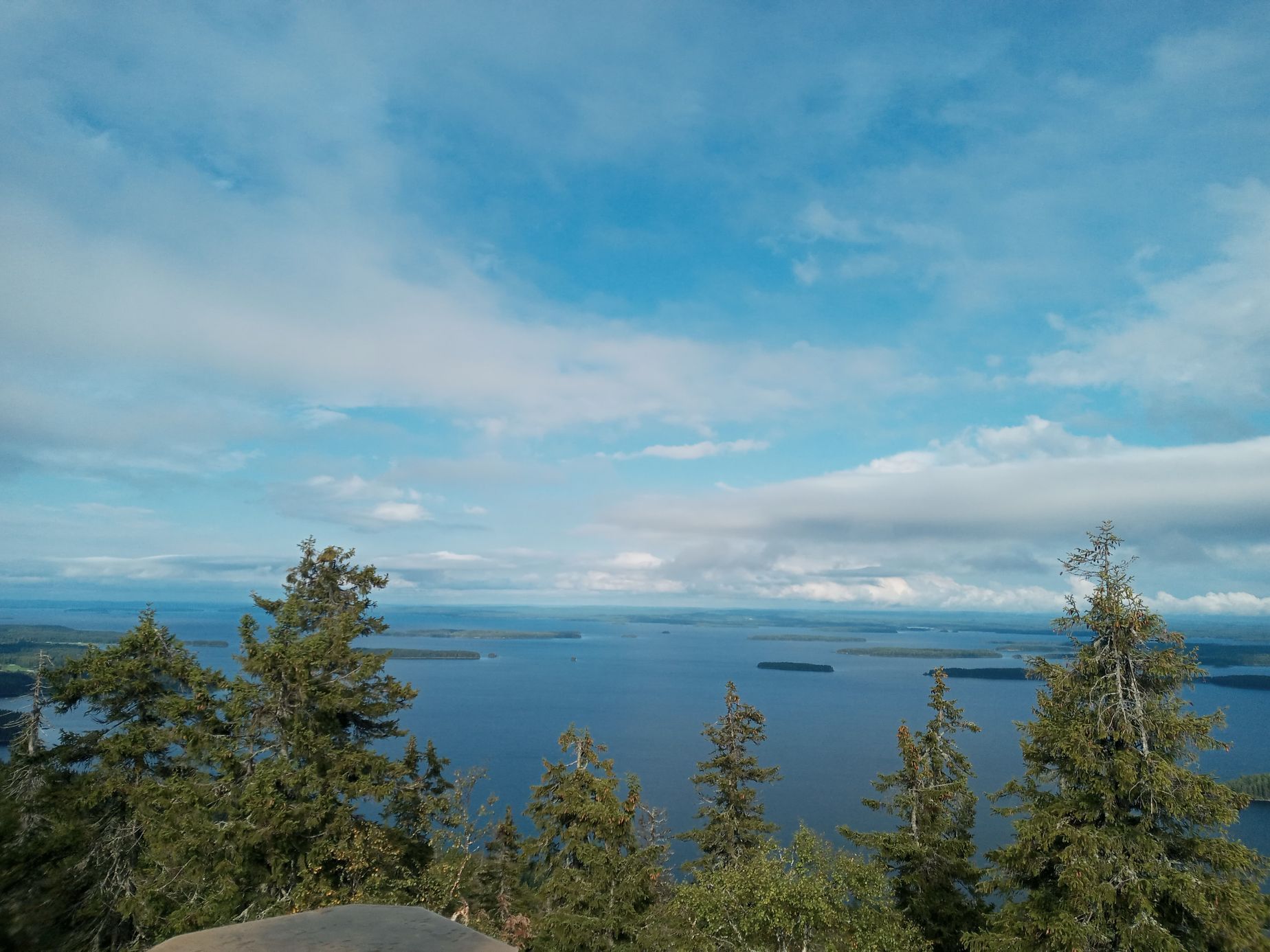 Archiv Michaely Ahonen