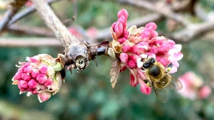 Rok 2023 začal teplotními rekordy v celém Česku, Polsko mělo skoro tropickou noc; Zdroj foto: Hana Shánělová