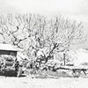Jednorázové užití / Fotogalerie / České "pouštní krysy" pomohly ubránit Tobruk. Před 80 lety začala jejich cesta peklem
