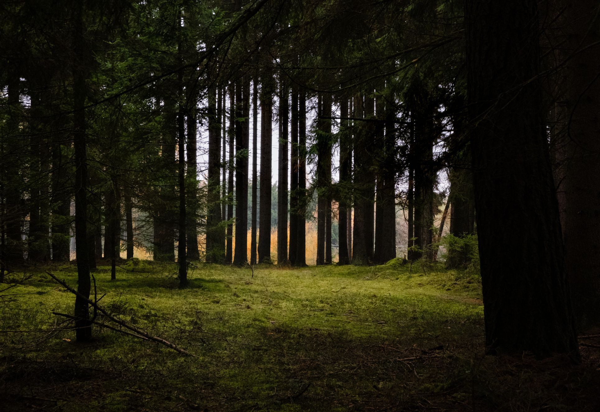 Hornický penzion Brdy