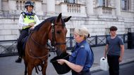 Horkem trpí ve městě i zvířata. Na snímku dostává policejní kůň Zorro napít vody z kbelíku.