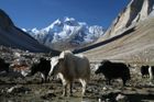 Tibetské ledovce tají moc rychle, vyschnou i veletoky