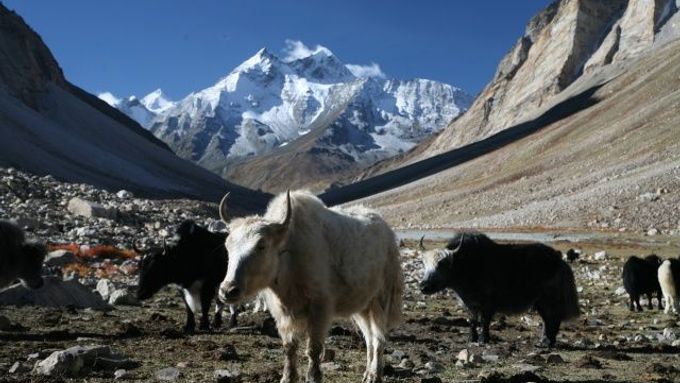 Řeky v Asii budou bez vody z tibetských ledovců. Možná už za pár desítek let.