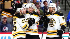 NHL Boston Bruins