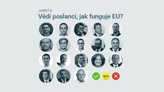 ikona - vědí poslanci, jak funguje EU