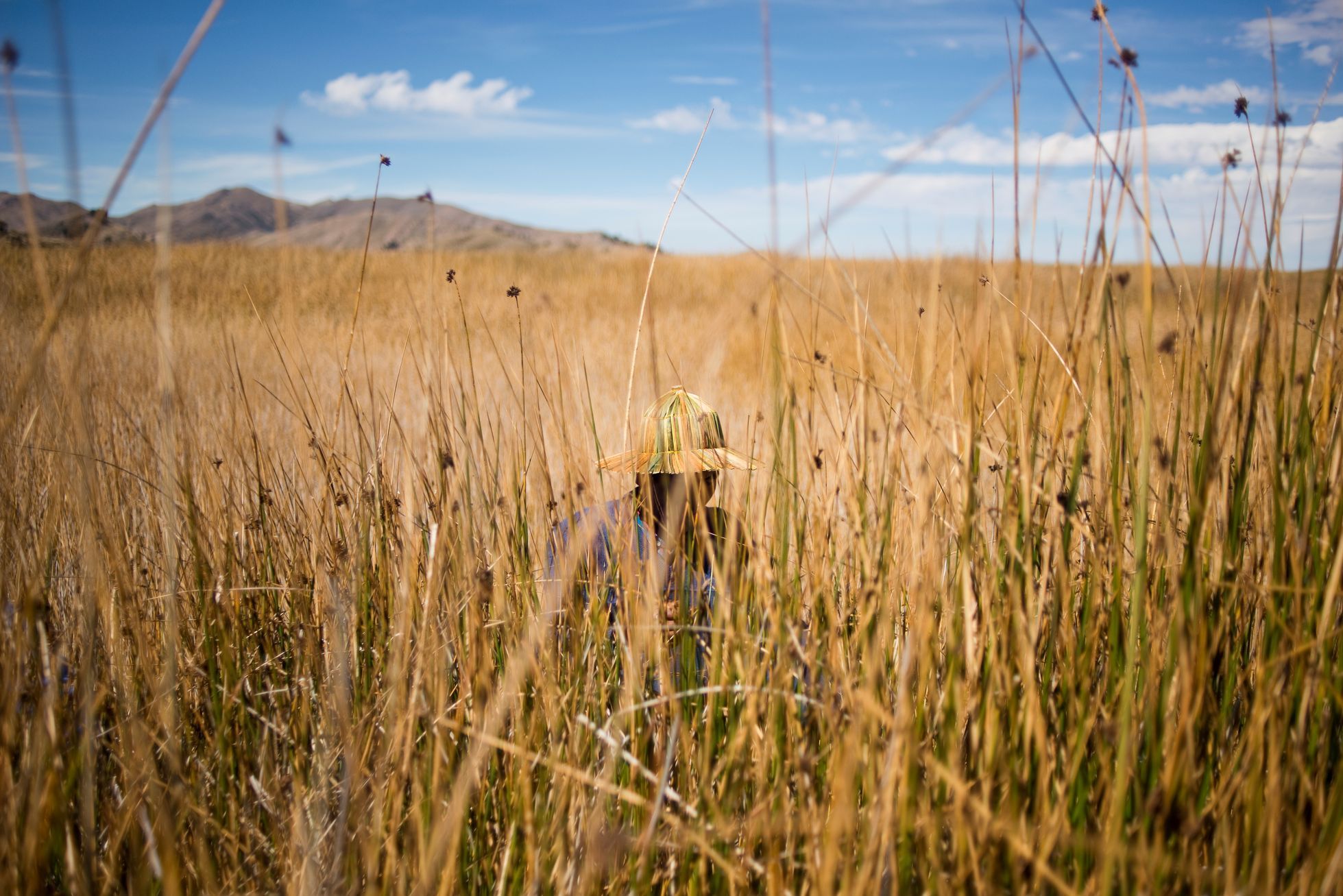 Fotogalerie / Znečištěné jezero Titicaca / Reuters