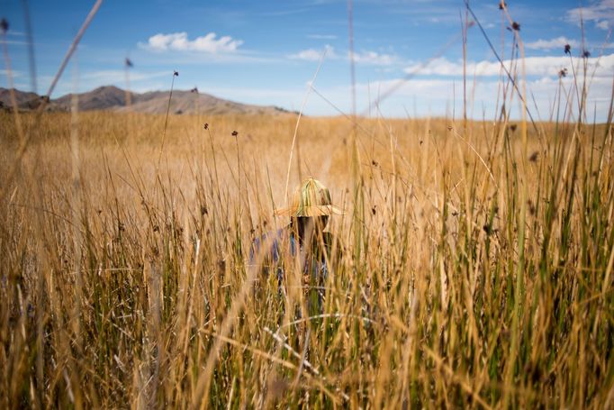 Jezero Titicaca, ležící v centrální oblasti And v Jižní Americe, dlouhodobě ohrožuje stoupající úroveň znečištění.