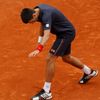 Novak Djokovič ve finále French Open 2012