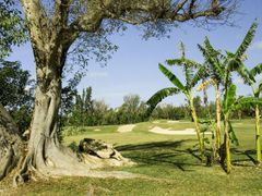 golfové hřiště na Bahamách