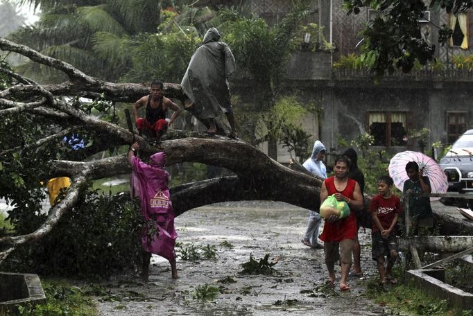 Residents saw an uprooted tree to clear the road after Typhoon Bopha hit Tagum City, southern Philippines December 4, 2012. Typhoon Bopha made landfall in southern Philippines early Tuesday, bringing heavy rains and strong winds, forcing 41,600 people living in coastal areas to flee their homes. REUTERS/Stringer (PHILIPPINES - Tags: DISASTER ENVIRONMENT SOCIETY) Published: Pro. 4, 2012, 4:40 dop.