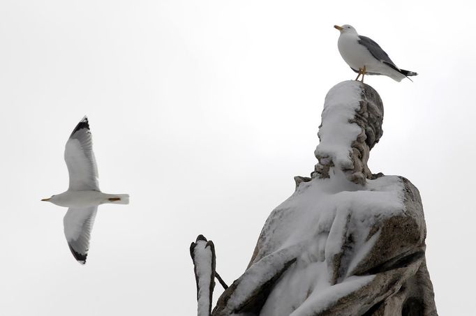 Racci na Svatopetrském náměstí ve Vatikánu.