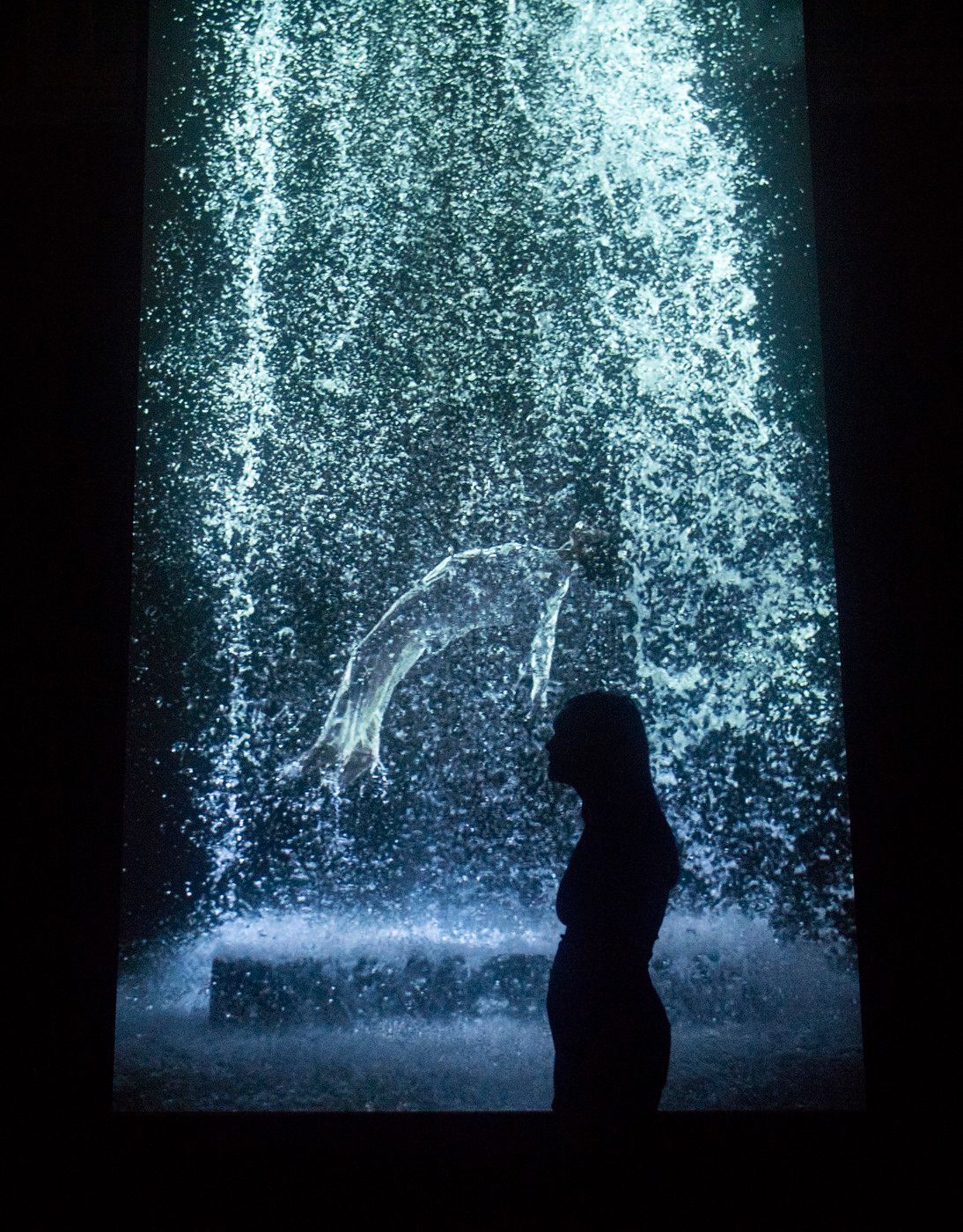 Bill Viola, 2019, Londýn, výstava