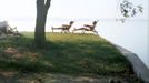 Relax u jezera Balaton, Maďarsko, rok 1938. Kolorováno