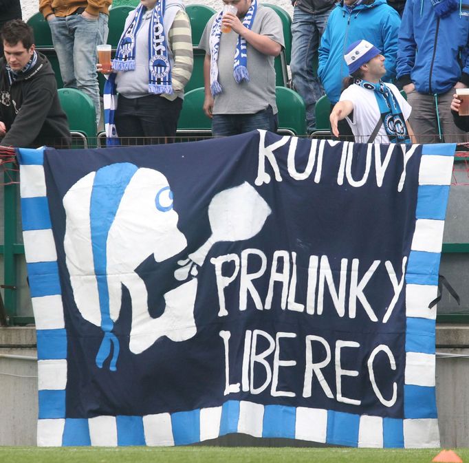 Utkání Gambrinus ligy Bohemians vs. Liberec