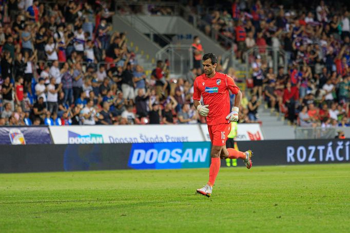 FC Viktoria Plzeň - The New Saints, 3. předkolo Evropské konferenční ligy, Aleš Hruška