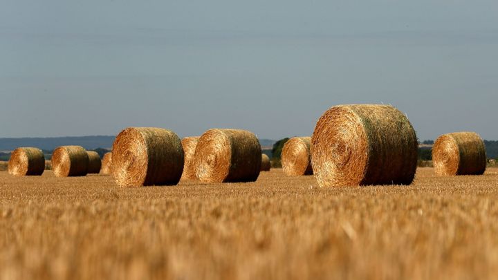 Moravu čekají tropické teploty nad 31 stupňů. Hrozí požáry i dehydratace, varuje ČHMÚ; Zdroj foto: Reuters