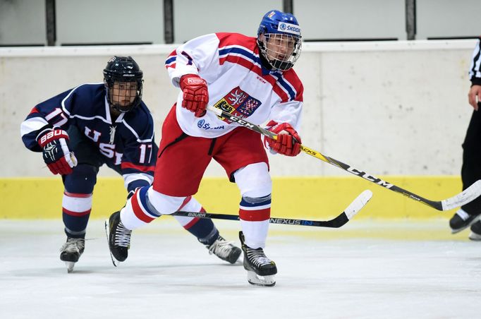 Finále Memoriálu Ivana Hlinky 2016: Česko vs. USA 4:3