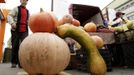 A man waits for customers during an autumn fair at a street food market in Minsk October 13, 2012. REUTERS/Vasily Fedosenko(BELARUS - Tags: AGRICULTURE SOCIETY FOOD BUSINESS) Published: Říj. 13, 2012, 10:42 dop.