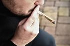 Nizozemci kvůli covidu kouří více marihuany. Bojují tak s nudou a zklidňují si nervy