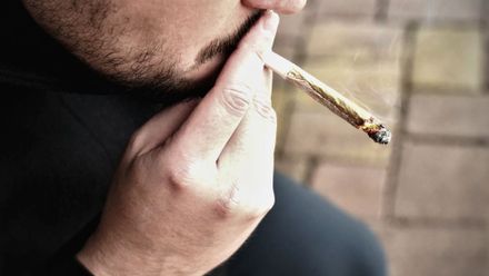 Legalizace marihuany je o krok blíže. Přinese státu miliardy? Sledujte DVTV
