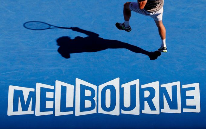 David Ferrer na Australian Open 2014