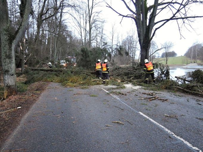 Spadlý strom na komunikaci I/13 nedaleko Raspenavy.