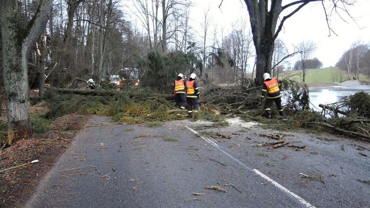 Dálnice D1 byla celou noc uzavřená kvůli popadaným stromům, provoz už byl obnoven
