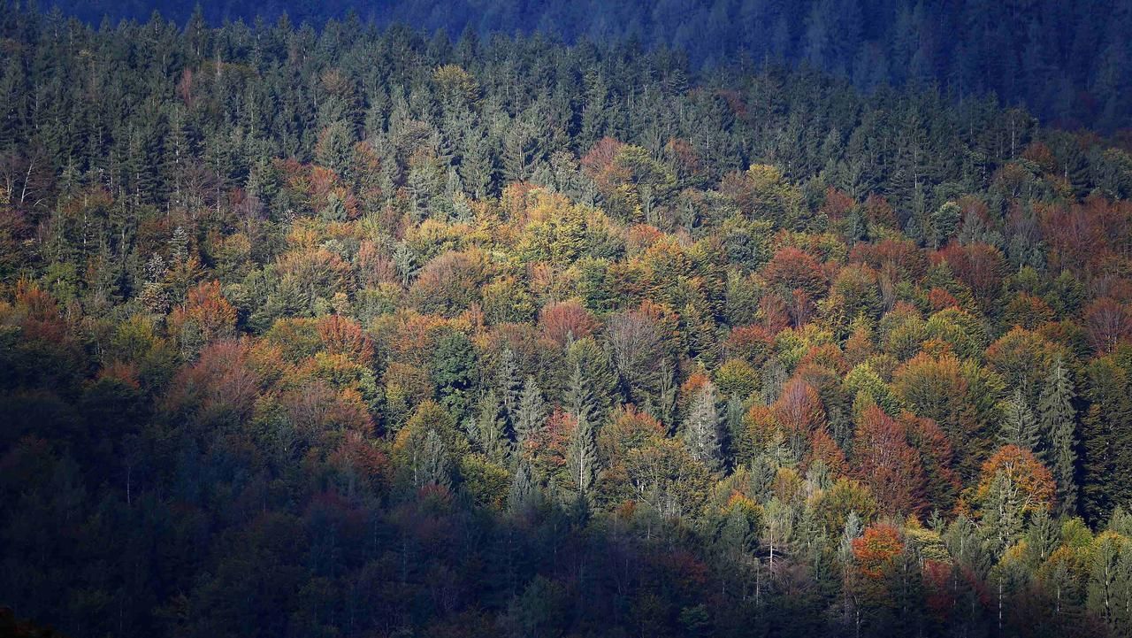 Foto: Krásy podzimu - Aktuálně.cz