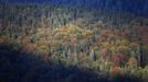 Autumn colored trees are pictured in Schoenau at the Koenigssee lake, near the southern German city of Berchtesgaden October 2, 2012. REUTERS/Michael Dalder (GERMANY - Tags: ENVIRONMENT TRAVEL) Published: Říj. 2, 2012, 7:02 odp.