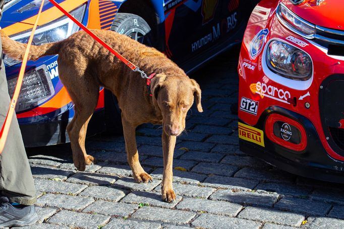 Start Středoevropská rallye na Hradčanském náměstí v Praze.