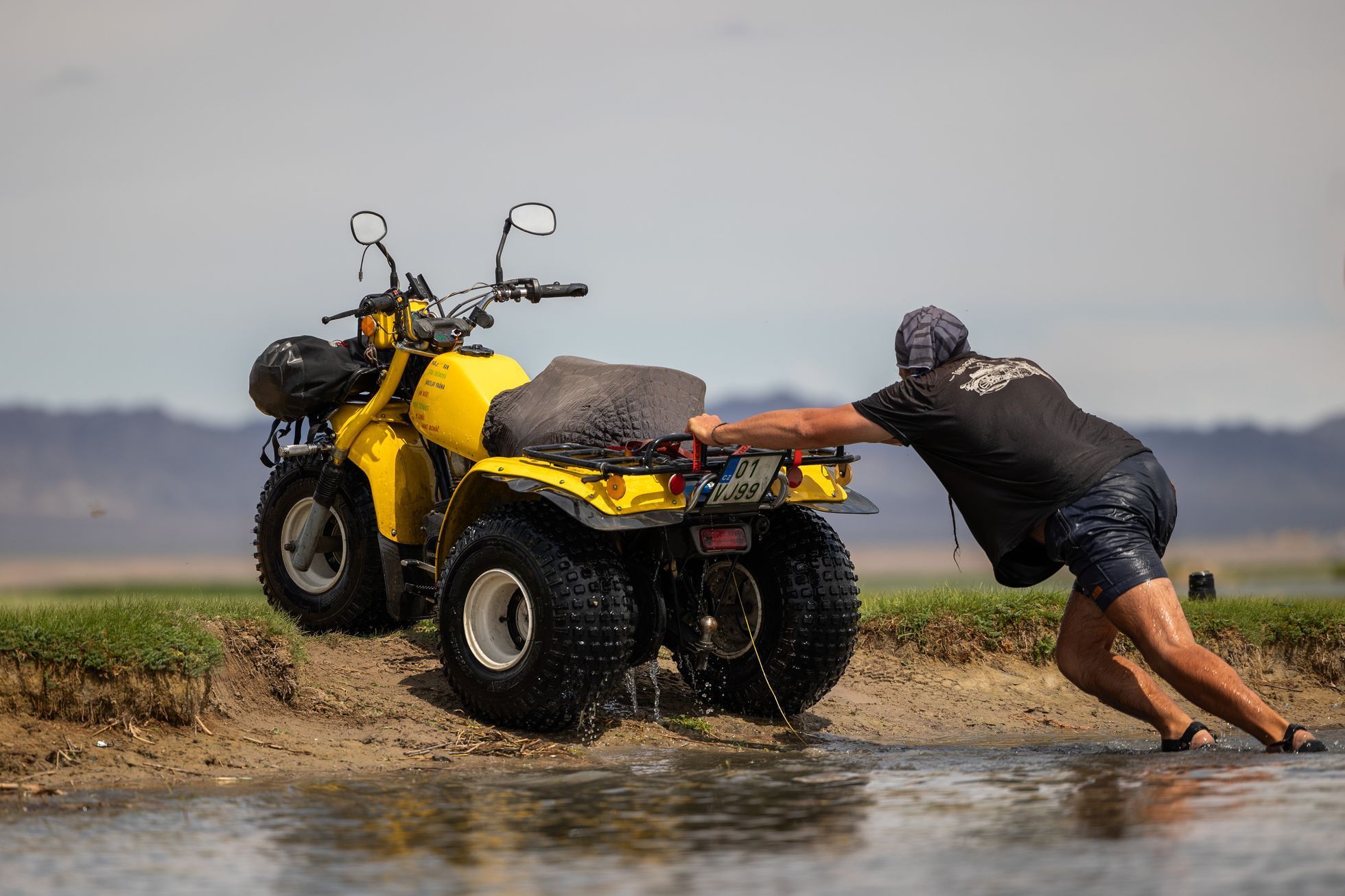 Žlutá žába pluje!