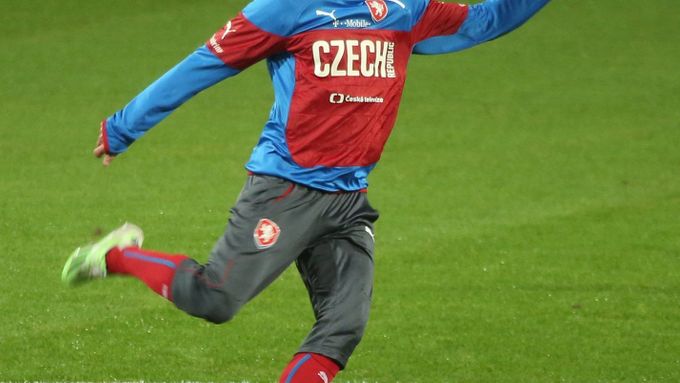Milan Petržela v reprezentačním dresu.