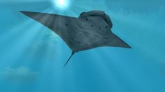 Zoo Tycoon 2: Marine Mania