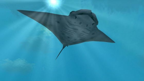 Zoo Tycoon 2: Marine Mania