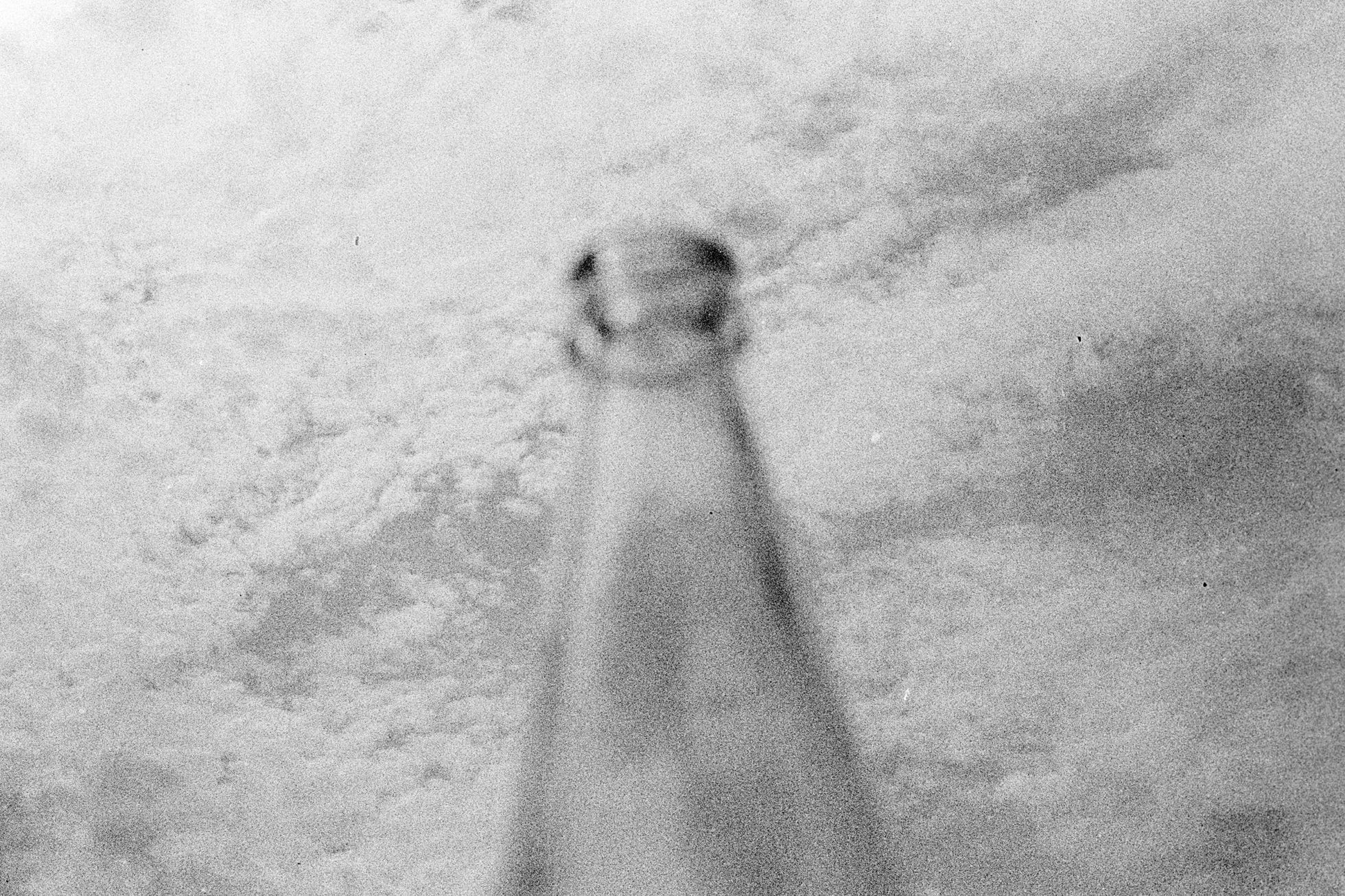 Fotogalerie / Otakar Matušek / Zemřel ostravský fotograf Otakar Matušek