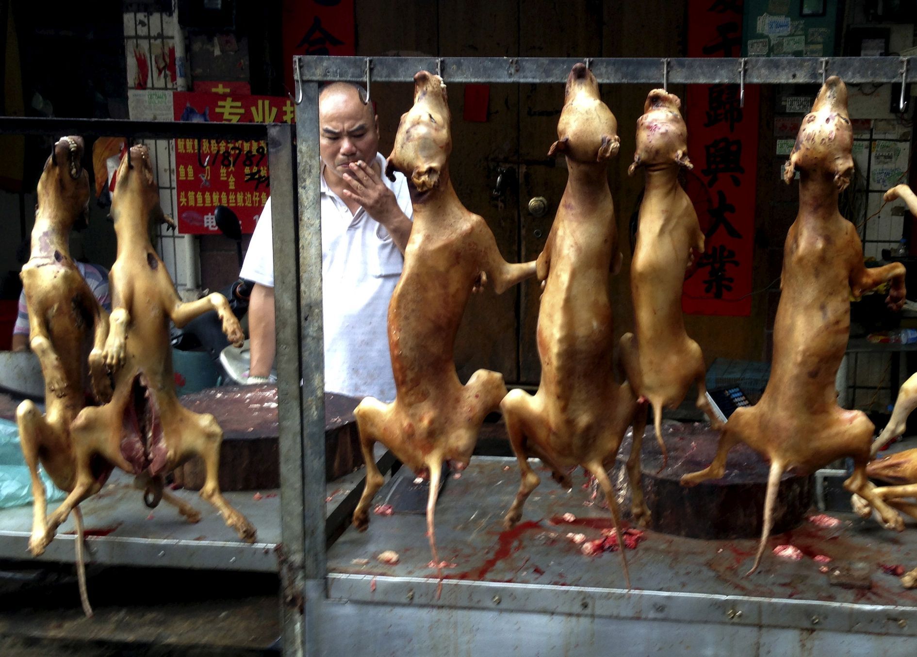 Festival pojídání psího masa v Jü-lin v Číně