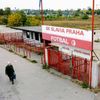 Stadion Eden, Slávia, fotbal, výročí, Sport