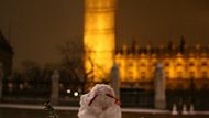 Sněhulák na Parliament Square