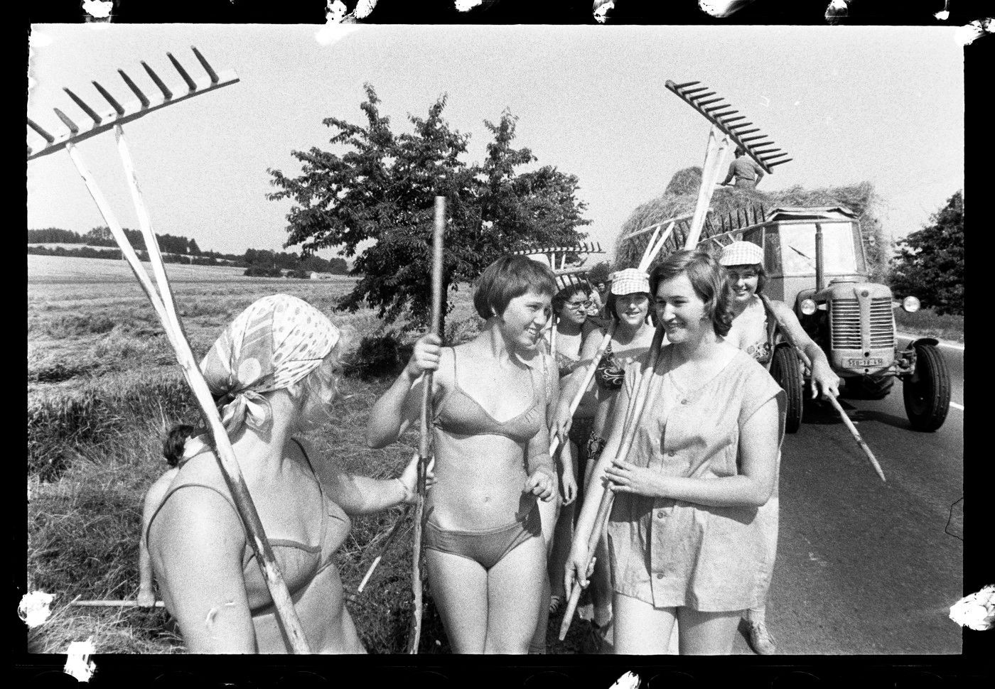 PLAVKY V ČESKOSLOVENSKU