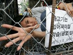 Aktivistka uzavřená v psí kleci protestuje proti rozšířenému používání psího masa v Asii. Nápis: "Psí maso je zlo, které musí vymizet."