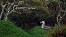 Fotografie ze soutěže Wildlife Photographer of the Year, které se utkají o cenu veřejnosti.