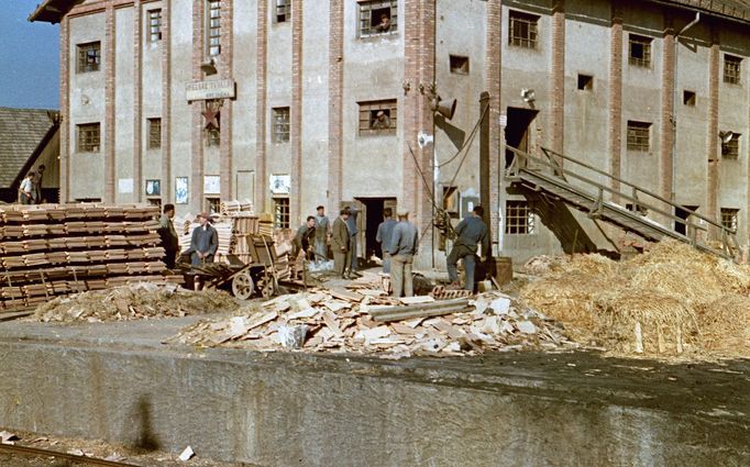 Továrna na cihly a dlaždice. Záběr z obce Breznička v okrese Stropkov. Rok 1959